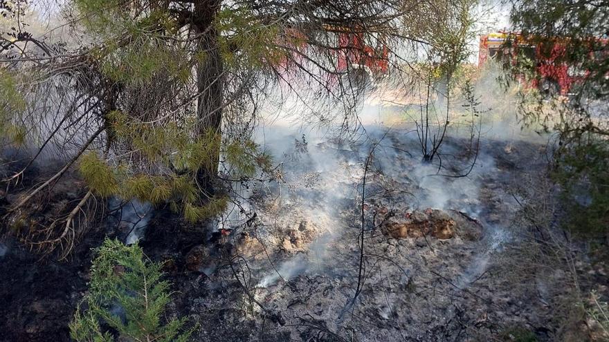 Alerta por un fuego forestal en es Torrent des Fornàs