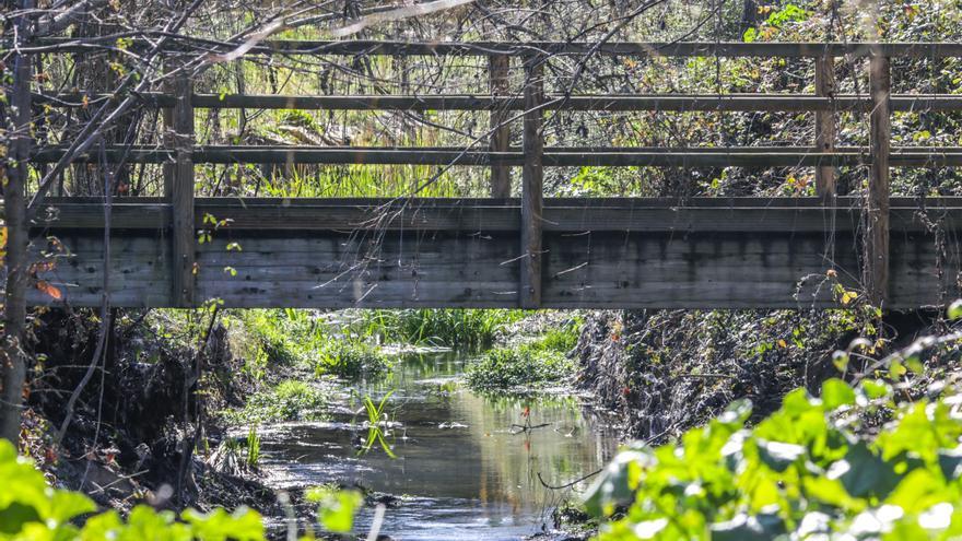 Del puente a la alameda