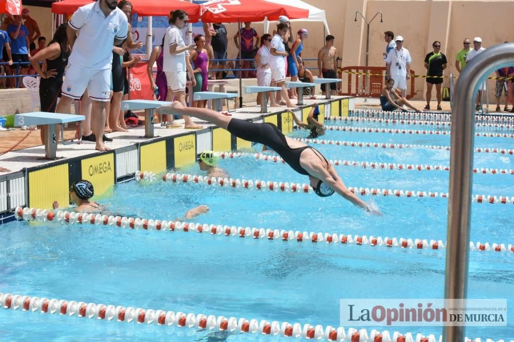 Final del Campeonato regional de natación.