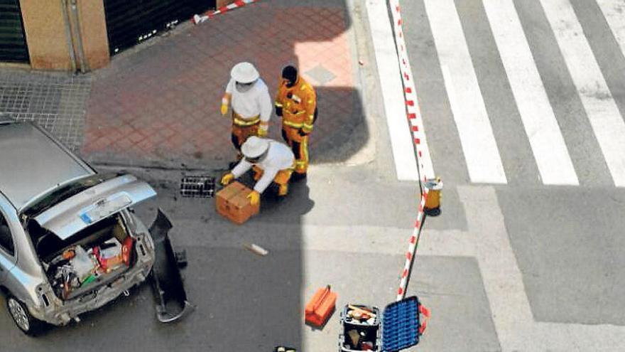 Las abejas traen de cabeza a los bomberos