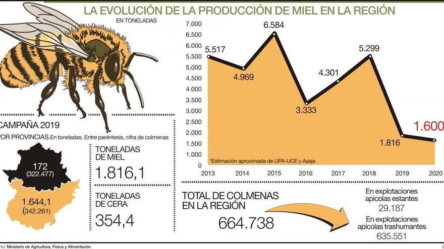 El sector apícola afronta su peor campaña en al menos una década y media en la región