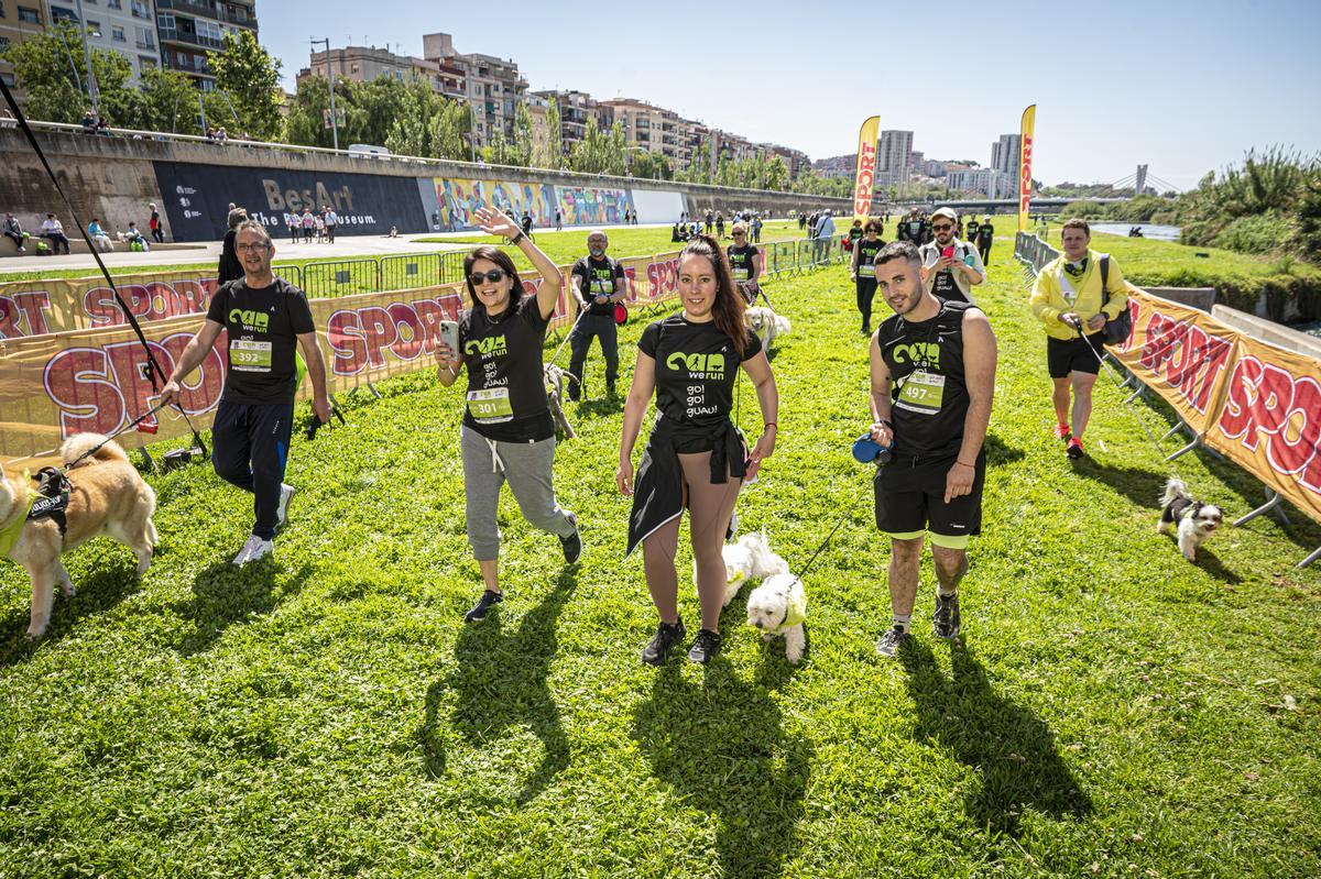 CAN WE RUN BARCELONA. La carrera organizada por Prensa Ibérica y El Periódico de Catalunya con la colaboración de Sport ,  donde las personas y sus mascotas perrunas corren en familia