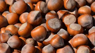 Este alimento rico en fibra aumenta la energía y se puede comer en cualquier momento del día