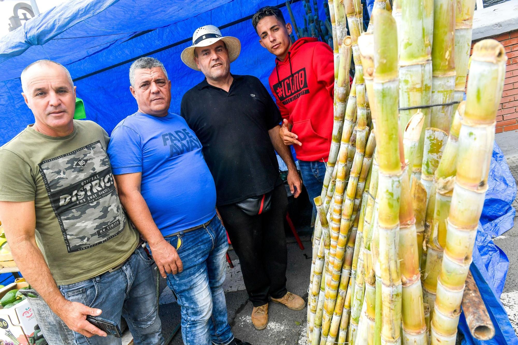 Fiestas de la Concepción y la Caña Dulce, en Jinámar