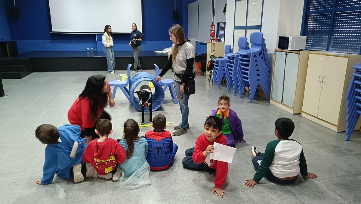 Un momento de la clase con personal especializado de la Fundación Quirón Centauro