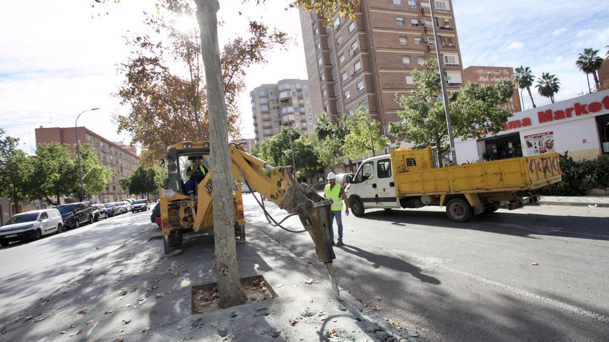 Obras de movilidad en la ciudad de Murcia.
