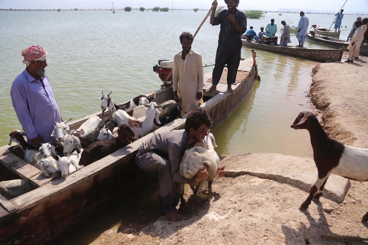 Sehwan (Pakistan), 01/09/2022.- People affected by floods move to higher grounds in Sehwan, Sindh province, Pakistan, 01 September 2022. According to the National Disaster Management Authority (NDMA) on 27 August, flash floods triggered by heavy monsoon rains have killed over 1,000 people across Pakistan since mid-June 2022. More than 33 million people have been affected by floods, the country’s climate change minister said. (Inundaciones) EFE/EPA/REHAN KHAN