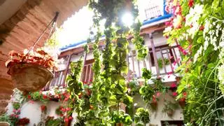 Historias de vida a través del legado de los Patios de Córdoba