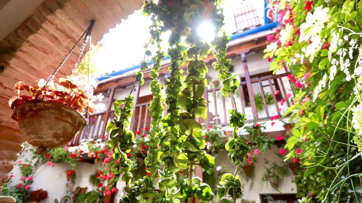 Historias de vida a través del legado de los Patios de Córdoba