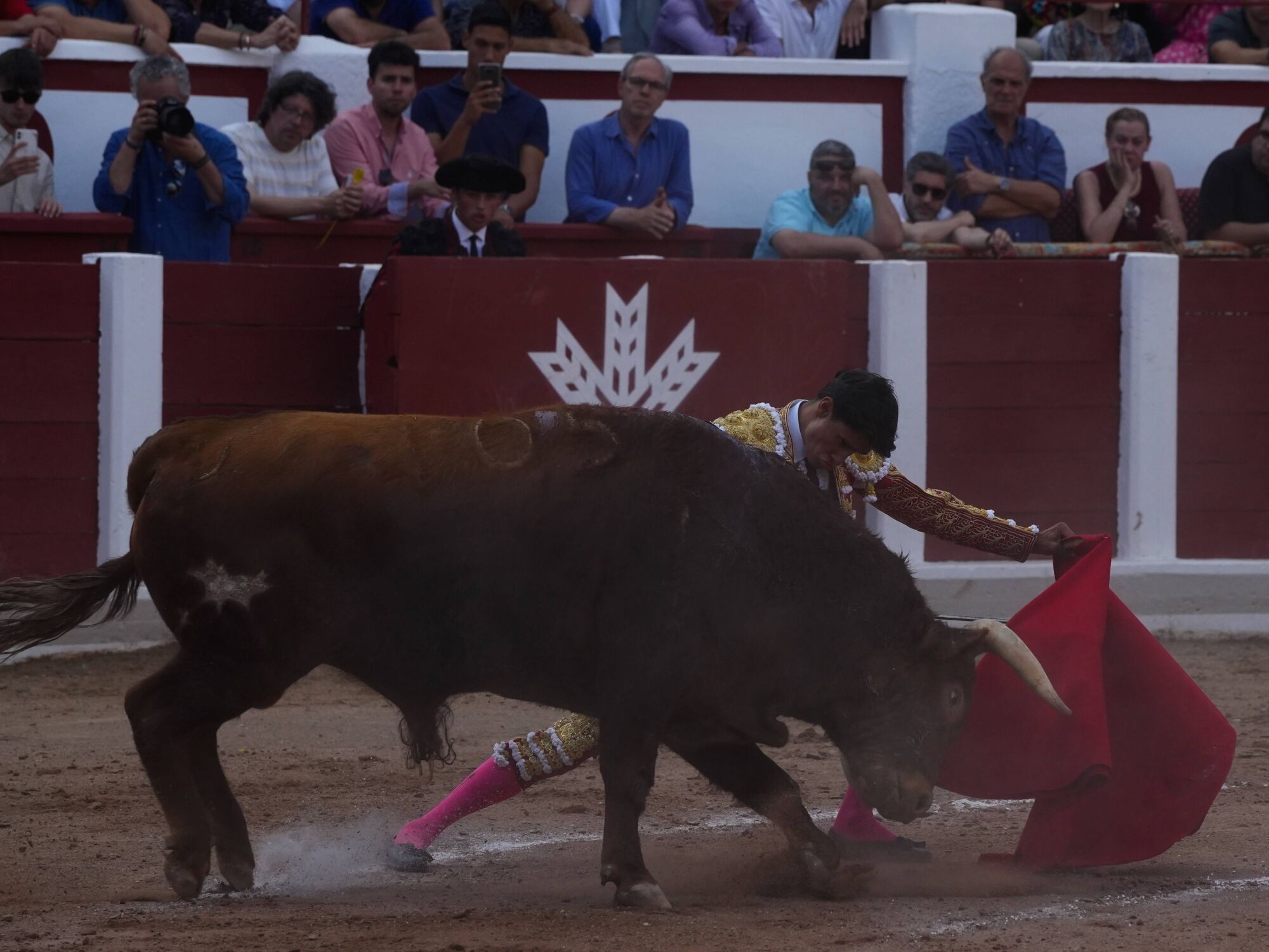 Las mejores imágenes de la feria taurina de San Pedro en Zamora.