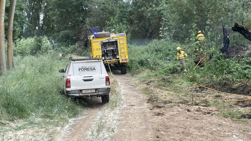 Un fuego afecta a varias choperas entre Mózar y Burganes