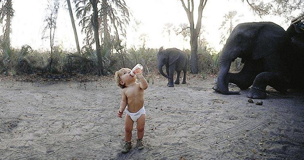 Tippi, amb un any d’edat, beu de l’ampolla a prop d’un elefant, a Okavango Swamps, Botswana.