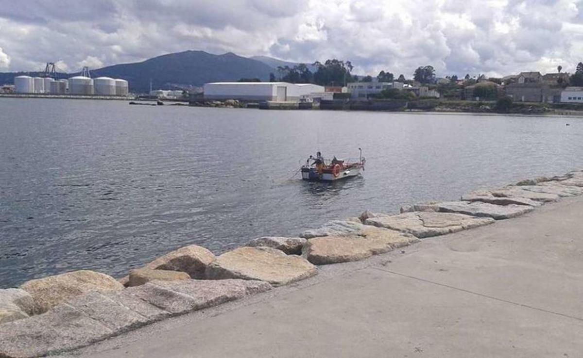 Largado de trasmallos en Vilagarcía, un domingo por la mañana y a menos de cien metros del puerto de Vilaxoán. // G.O.