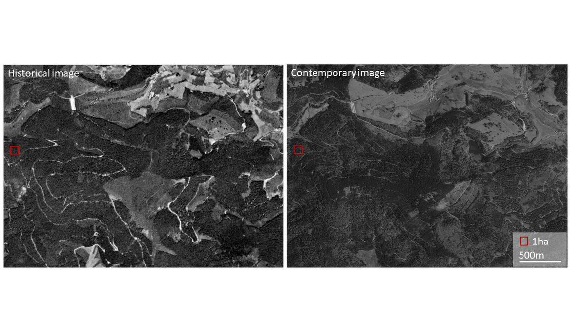 La Selva Negra en una imagen de satélite espía (izquierda) frente a otra actual de Google Maps,