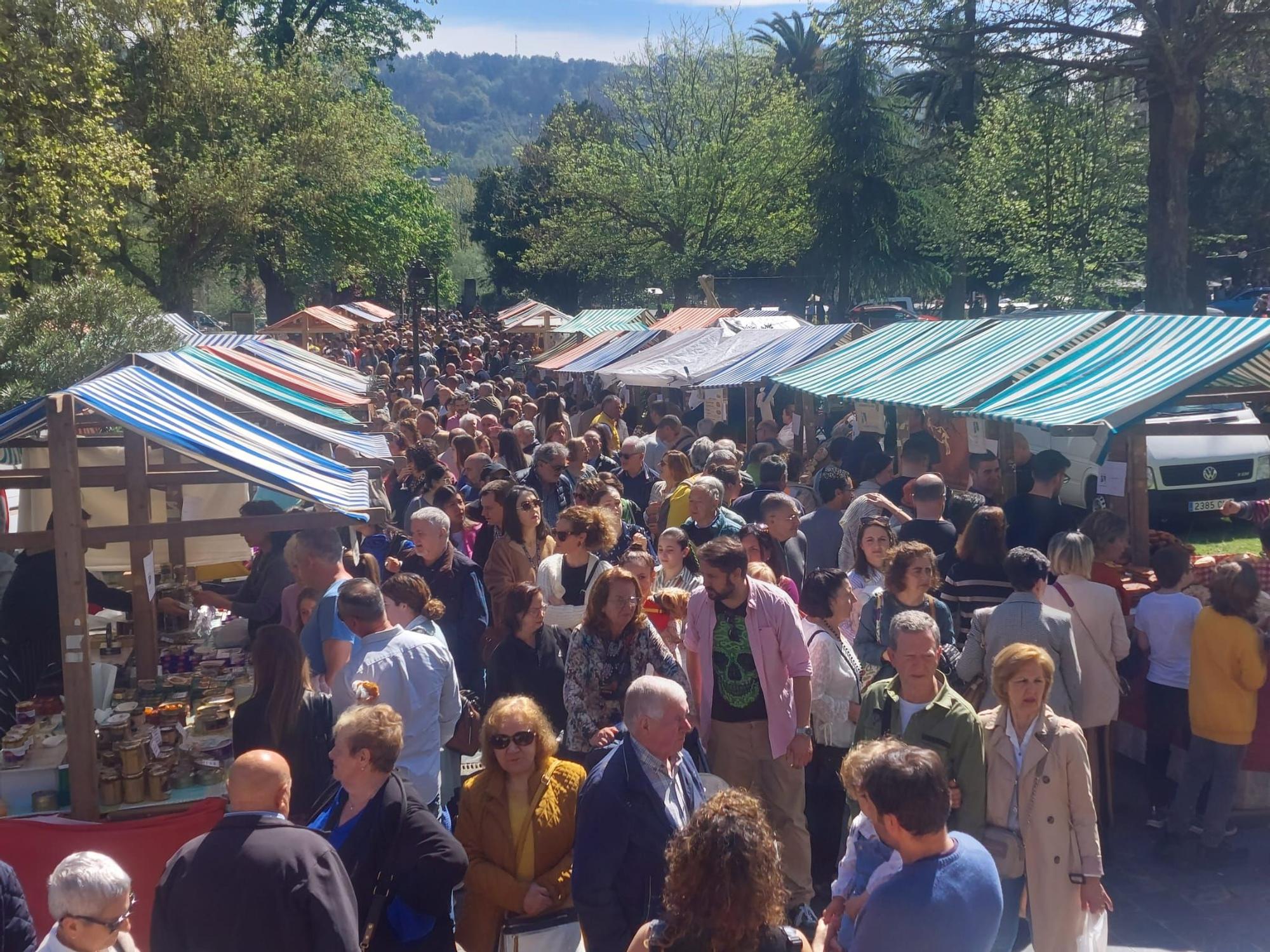 Todas las imágenes de La Flor más multitudinaria: miles de personas abarrotaron Grado