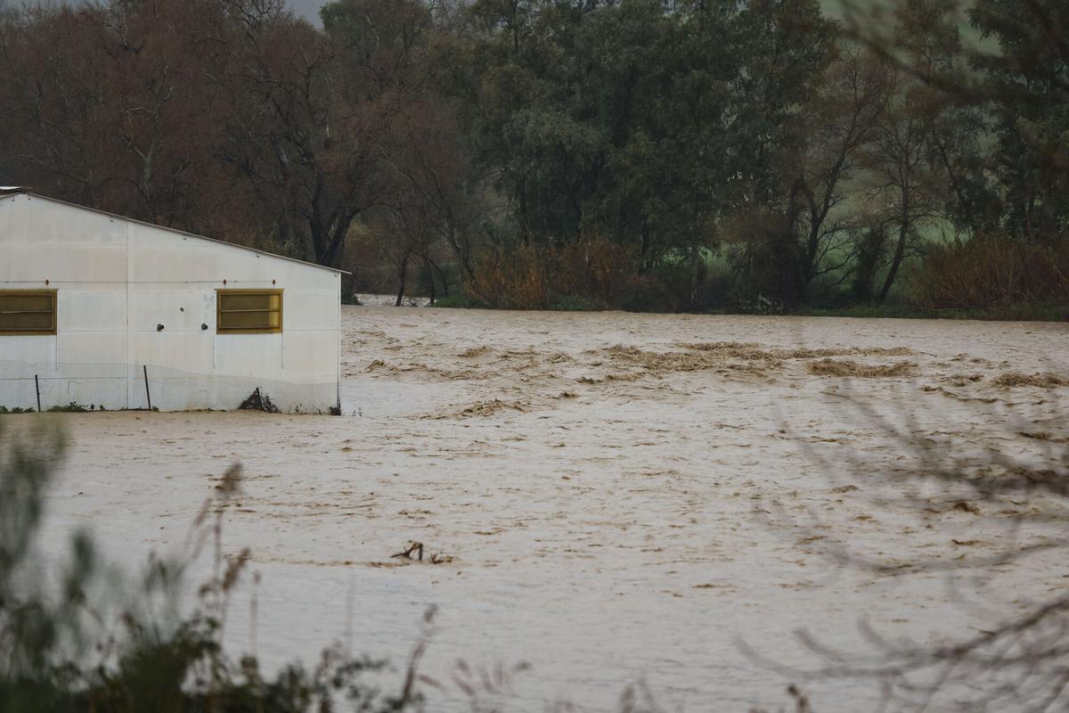 Estado en el que se encuentra el caudal del río Teba, en su bajada cerca de Teba, tras las lluvias registradas