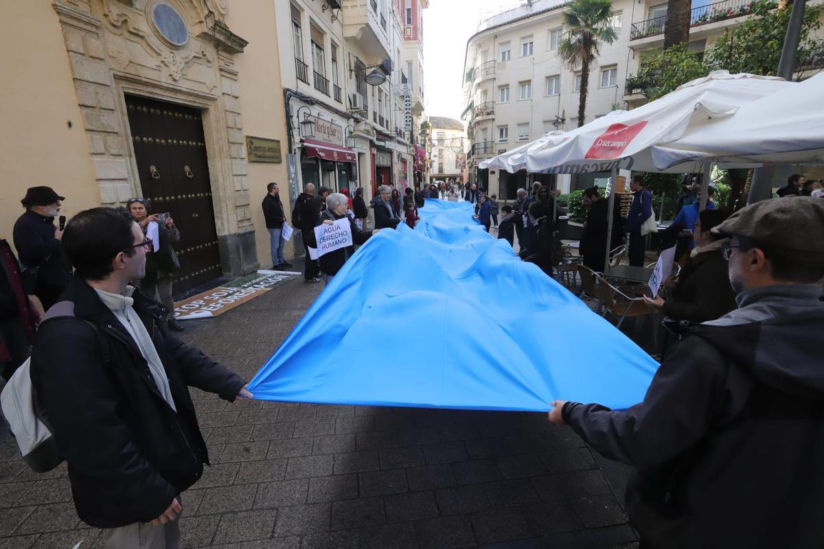 Manifestación organizada este domingo en Córdoba por Ecologistas en Acción.