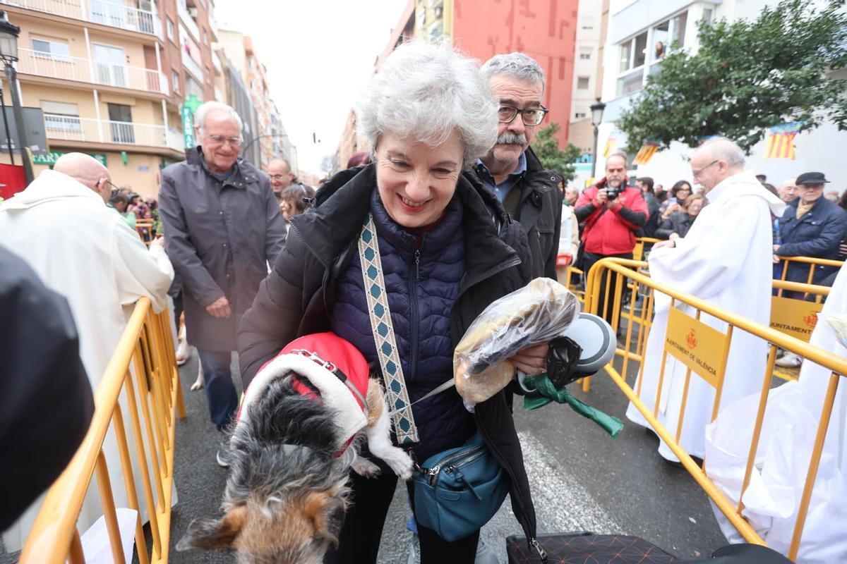 Bendición de animales por Sant Antoni en la calle Sagunt de València