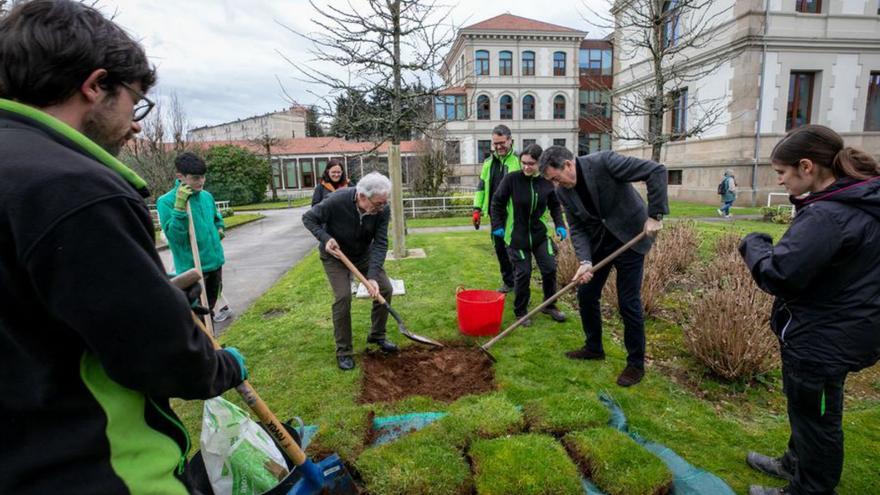 Los alumnos de Valga plantan en Santiago el camelio que obsequiaron al conselleiro de Educación
