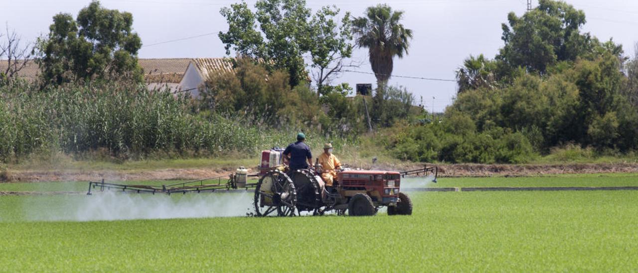 La agricultura podría captar el CO2 emitido por los coches durante 8 años