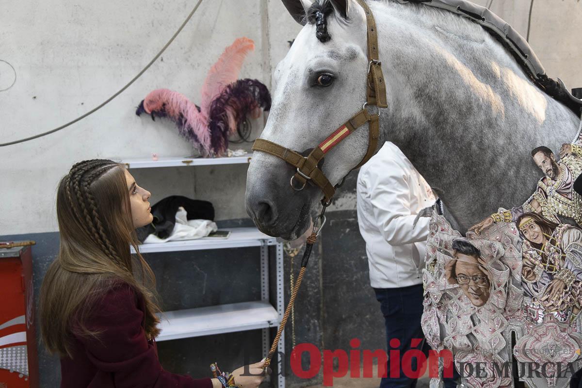 Caballos del vino/Vestir a un caballo_007