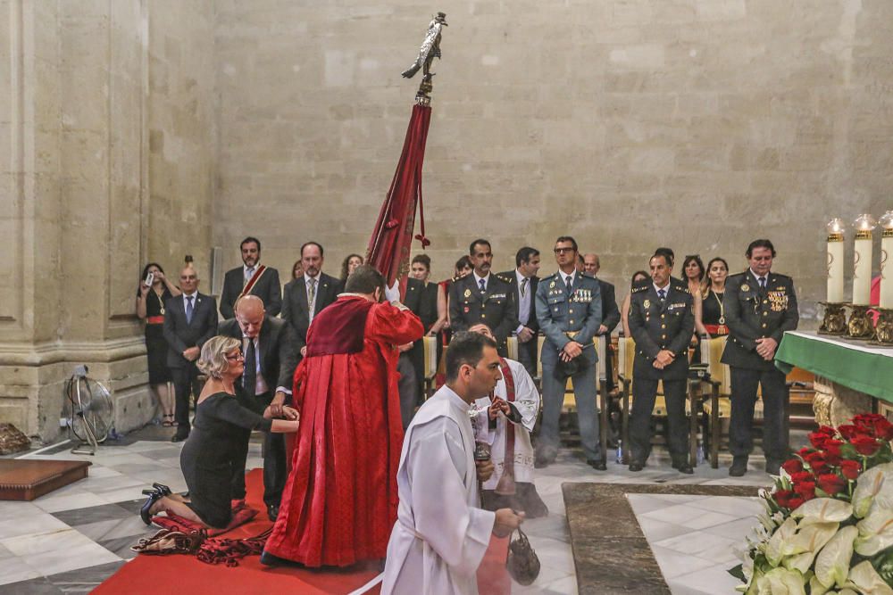 El día del Pájaro en Orihuela