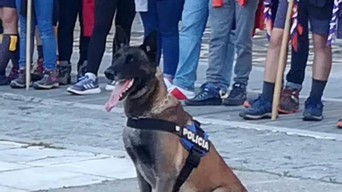 Adiós a Urko: Plasencia se despide de uno de los símbolos de la Policía Local