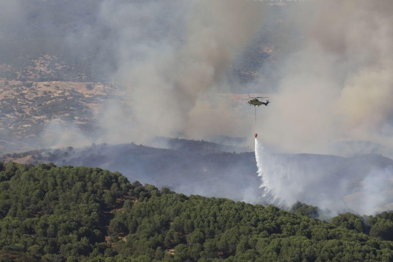 Incendio forestal en Cerro Muriano