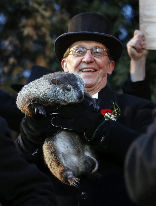 La marmota Phil prediu un hivern llarg als EUA