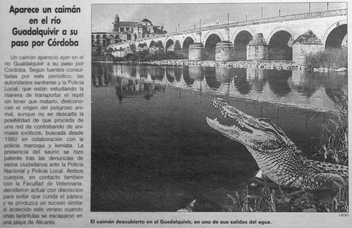 Recorte de la falsa noticia, por el Día de los Inocentes, sobre el avistamiento de un caimán en el Guadalquivir.