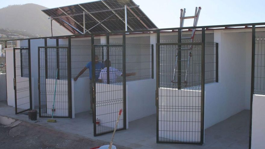 Safe Haven: A Temporary Shelter for Abandoned Animals in Our Community Safe Haven: A Temporary Shelter for Abandoned Animals in Our Community
