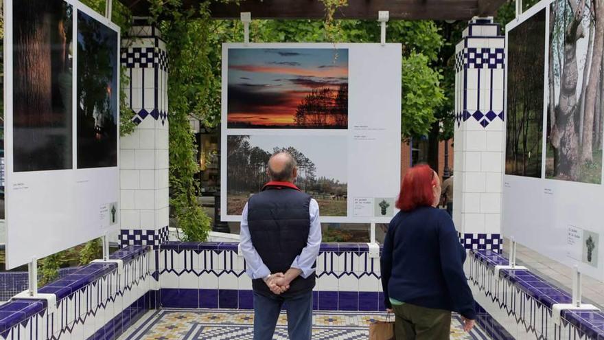 Algunos de los visitantes de la exposición.