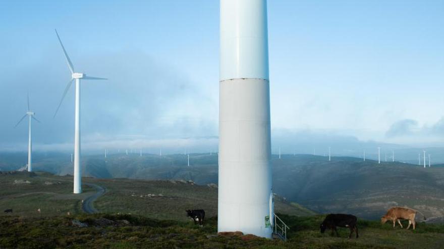 Nacimiento del Lérez en A Serra do Candán |   // JAIME OLMEDO