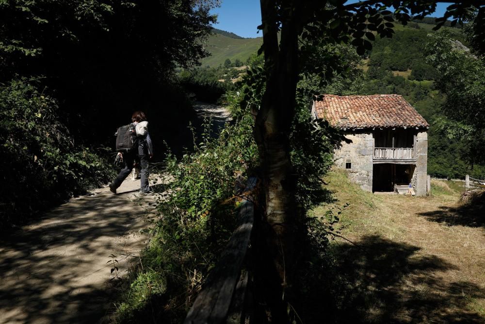 Rutas por Asturias: El Pino (Aller)