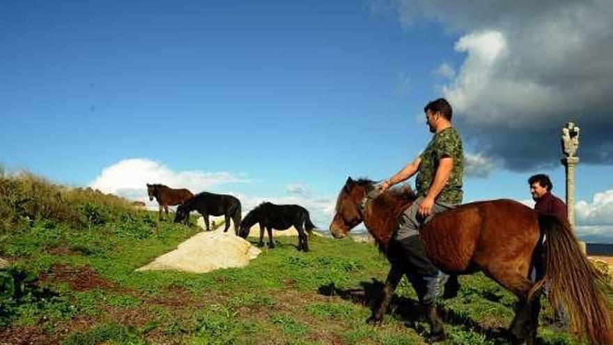 El manejo de los caballos de Sálvora.