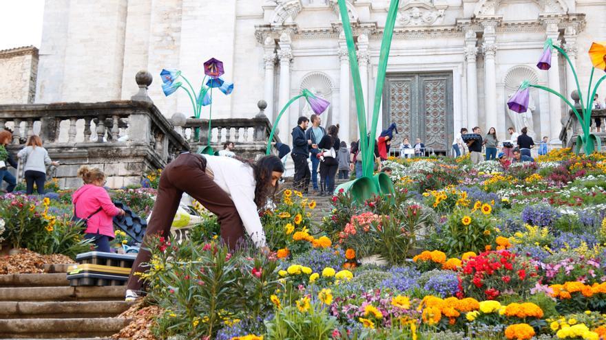 Preparació dels muntatges de &#039;Girona, Temps de Flors&#039;