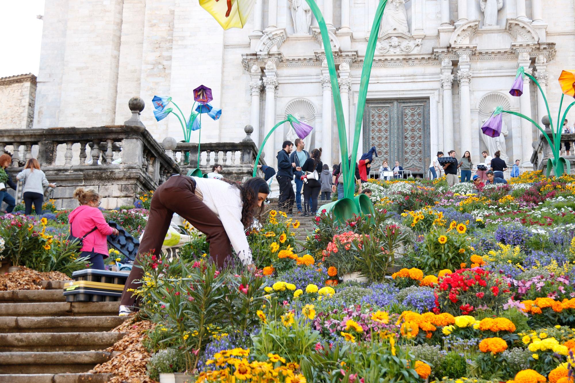 Preparació dels muntatges de 'Girona, Temps de Flors'