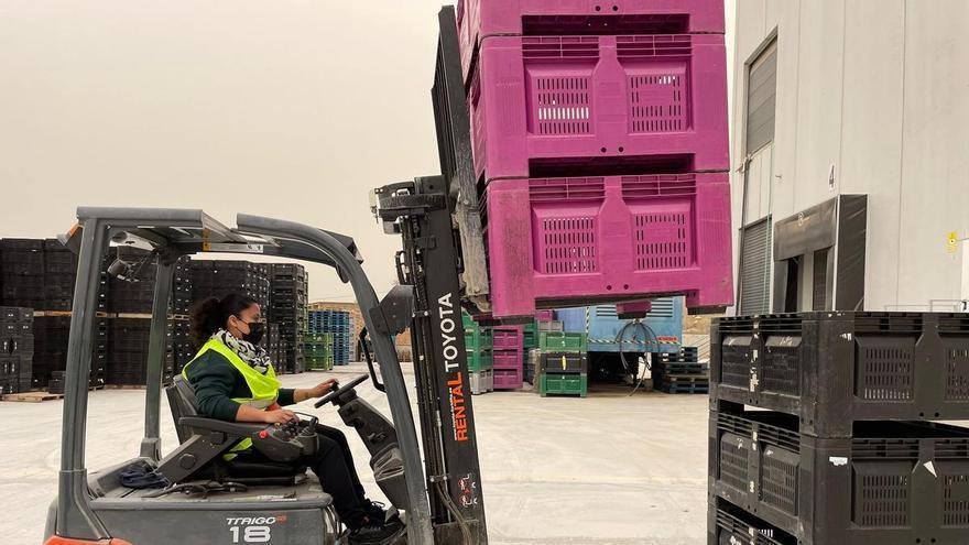 Fecoam vertebra el sector agro a través de la formación y la profesionalización