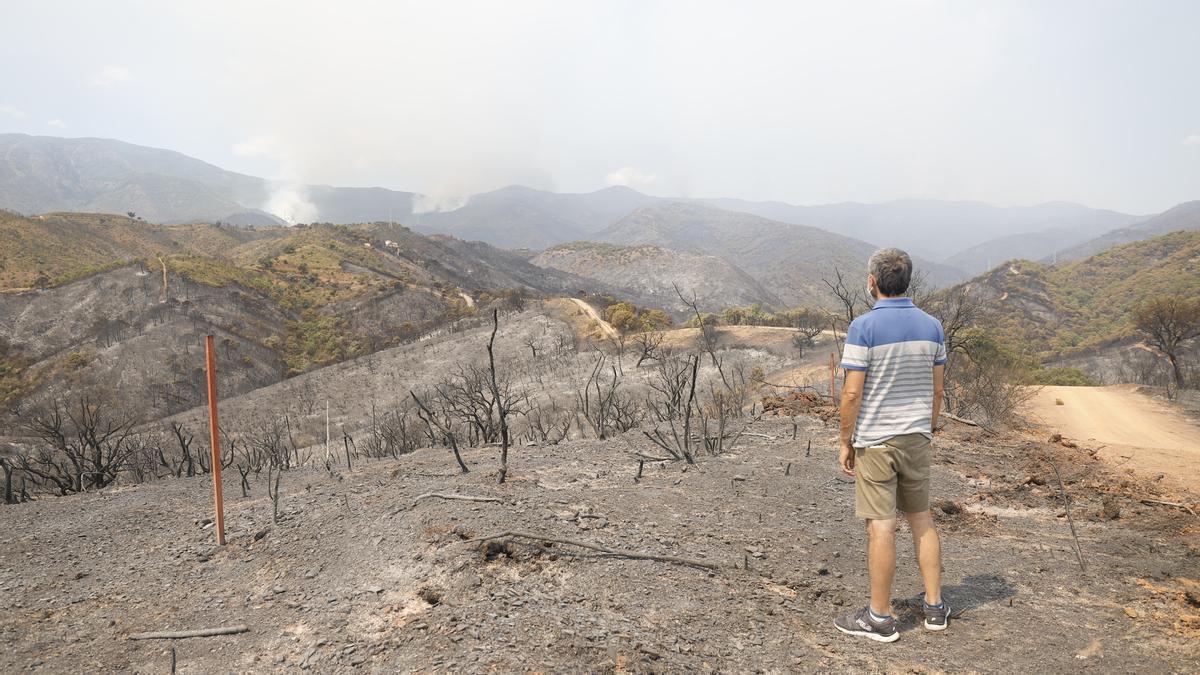 Un incendio en Sierra Bermeja provoca el desalojo de un millar personas en Estepona, Jubrique y Genalguacil