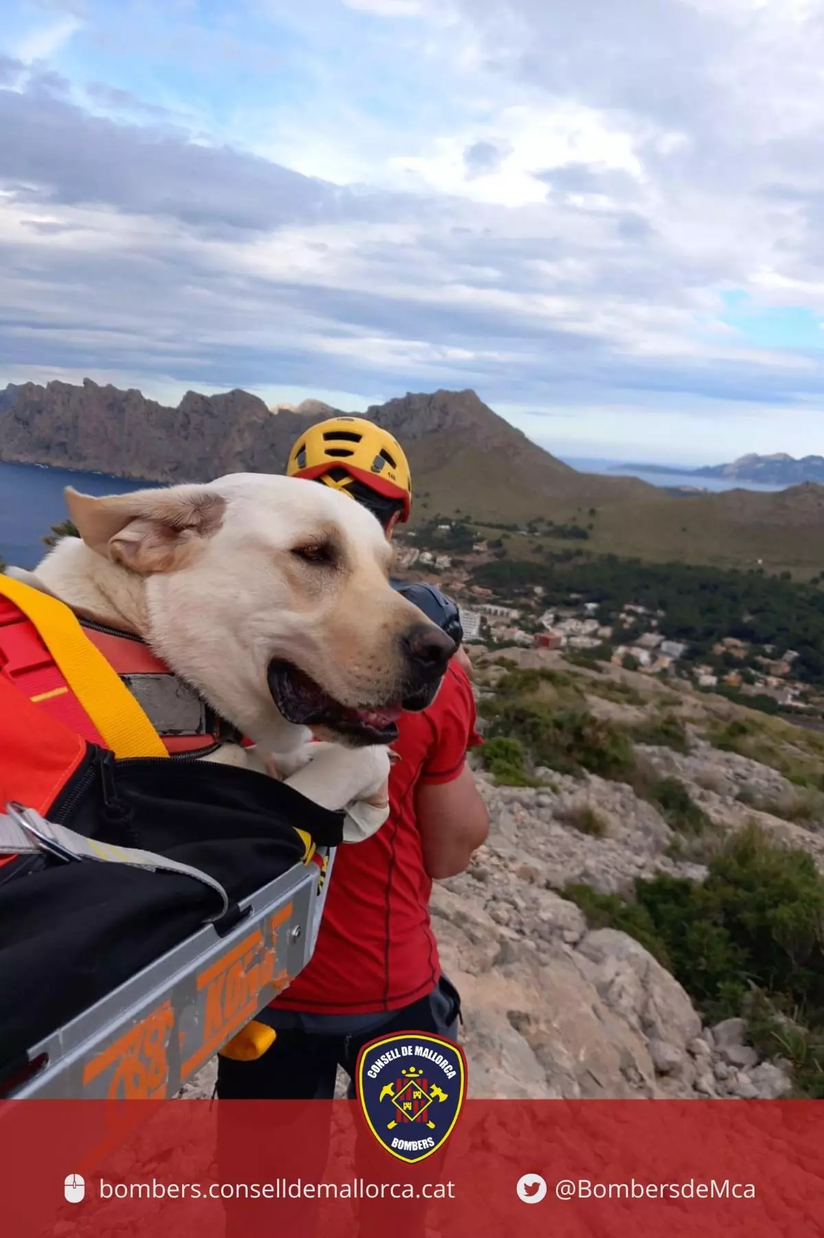 Los Bombers de Mallorca auxilian a un perro herido durante una excursión en Cala Sant Vicenç