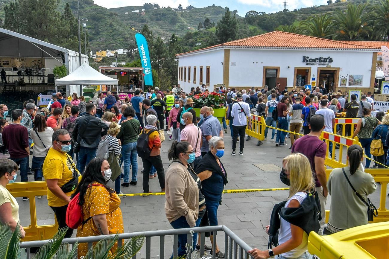 Feria del queso en Teror