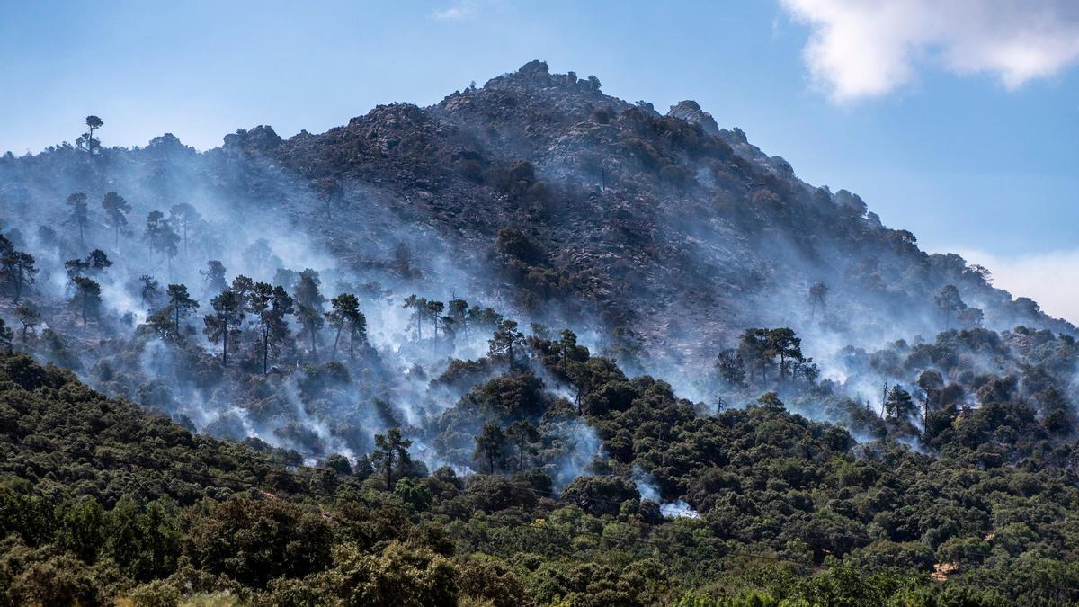 Monte de Madrid calcinado por los incendios