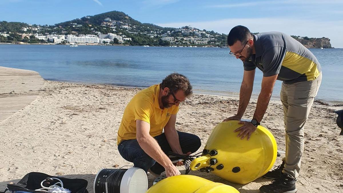 Persuasivo Nebu mano Instalan cinco boyas marinas inteligentes en Ibiza para proteger la  posidonia - Diario de Ibiza