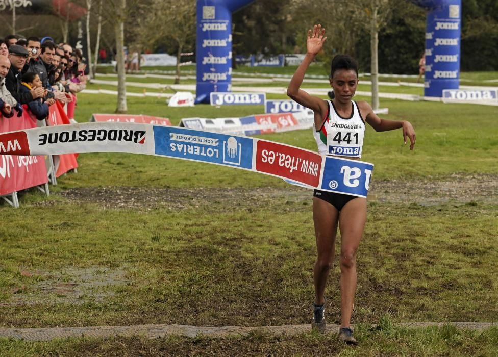 Campeonato de España de campo a través en Gijón