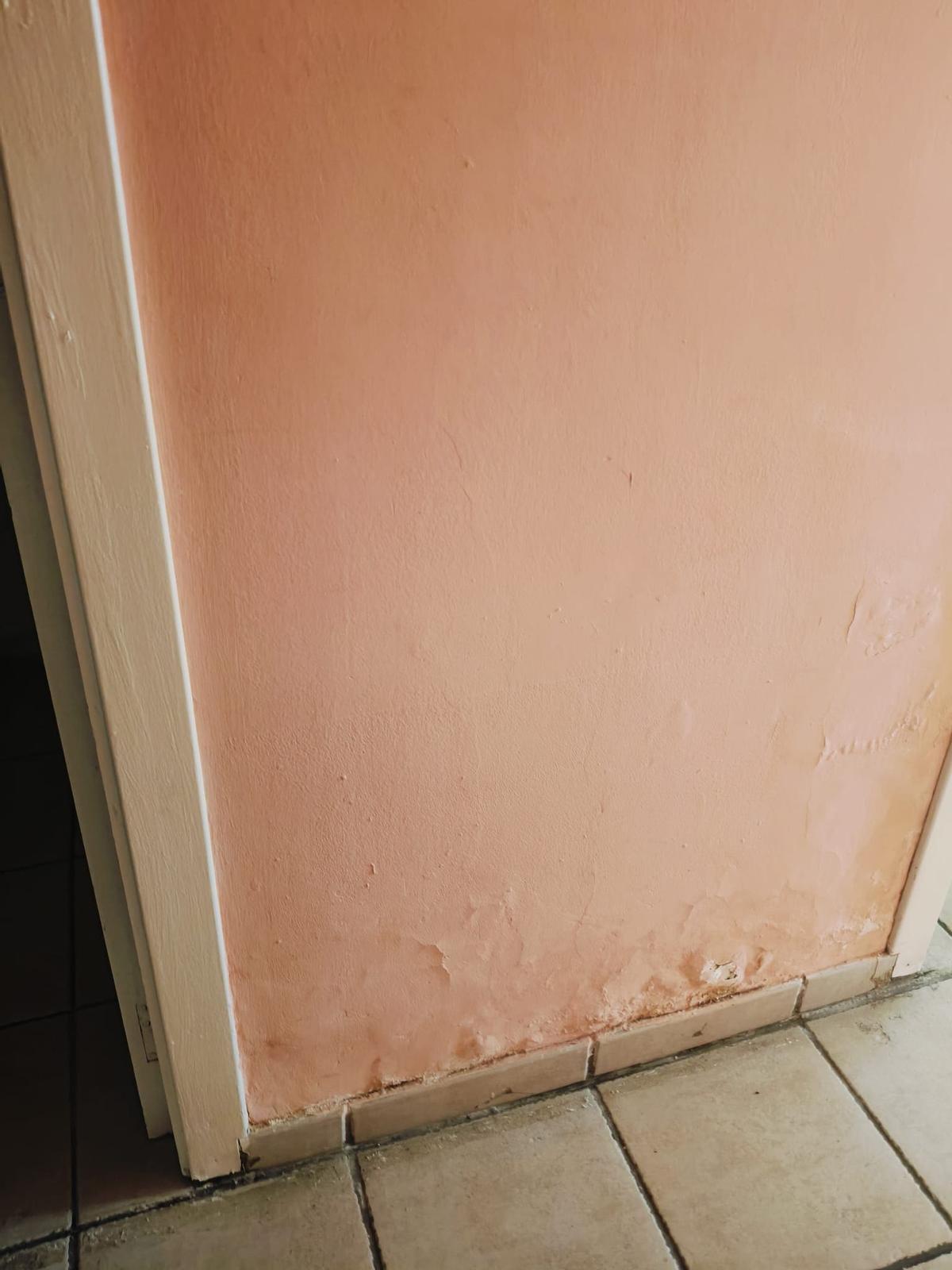 Pelades a les parets i terra brut.