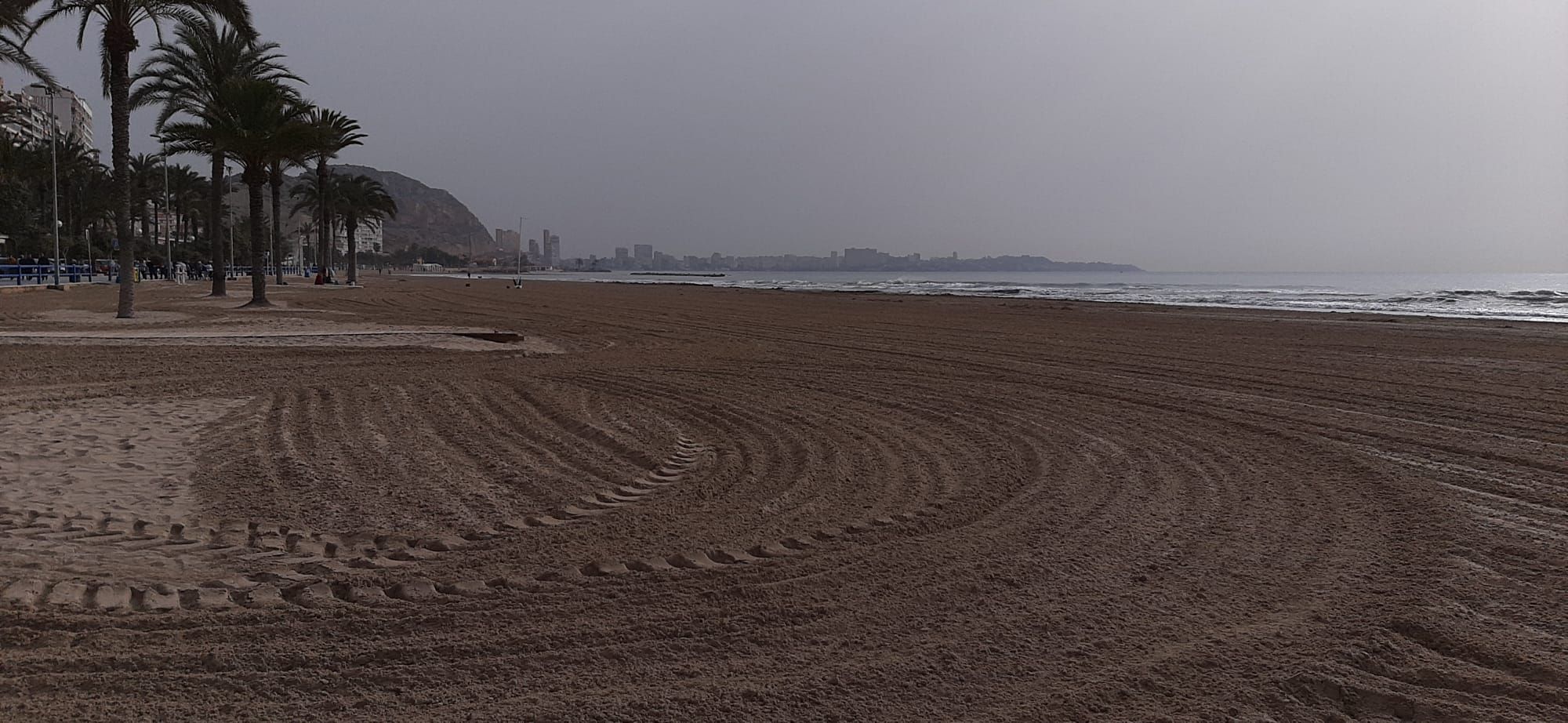 Limpieza en las playas de Alicante