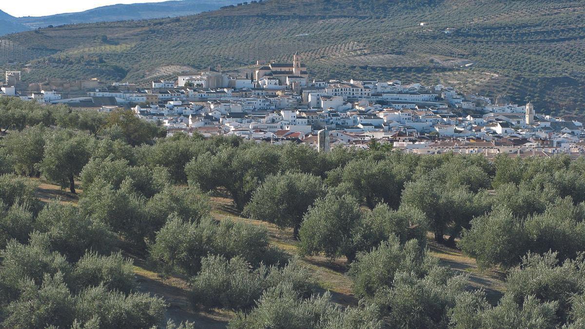 Baena es el municipio con mayor superficie y número de industrias aceiteras de la provincia de Córdoba.