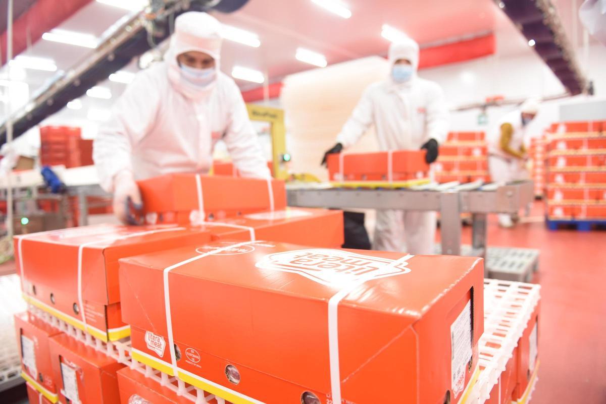 Trabajadores en el matadero de Litera Meat en Binéfar.