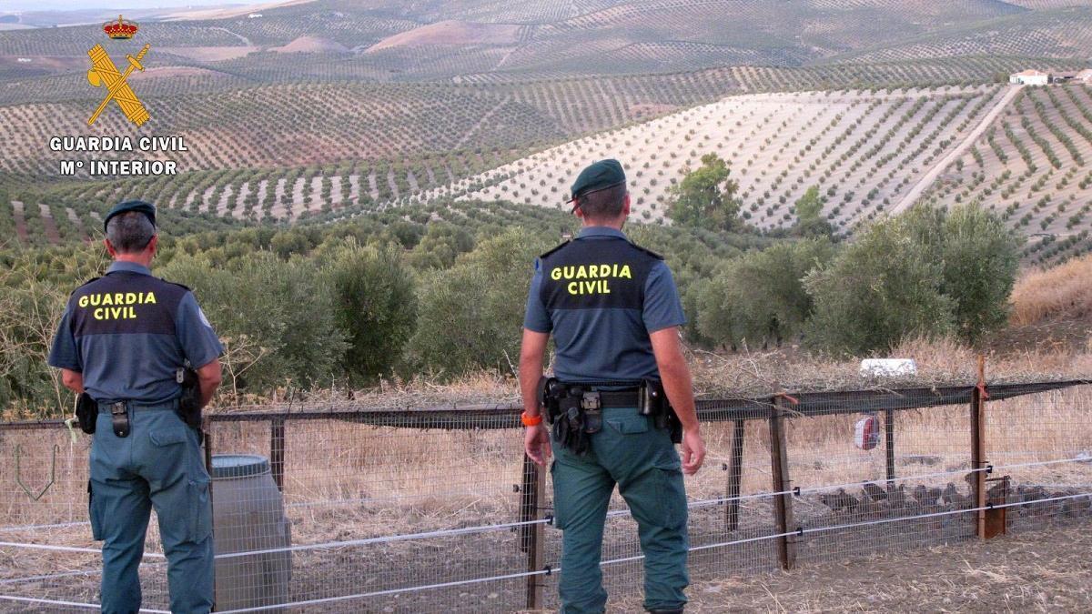 Agentes del Seprona de la Guardia Civil de Córdoba.