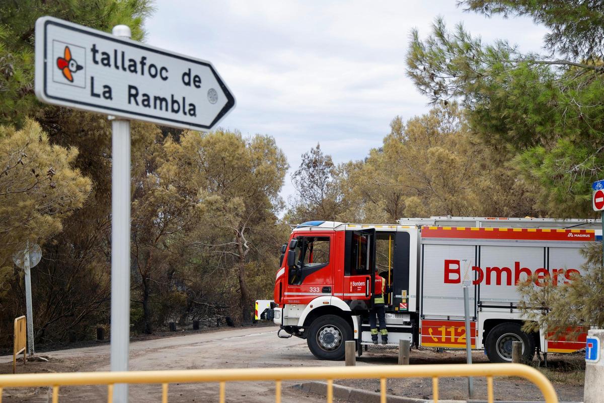 Las primeras imágenes del Saler tras el devastador incendio en la Devesa